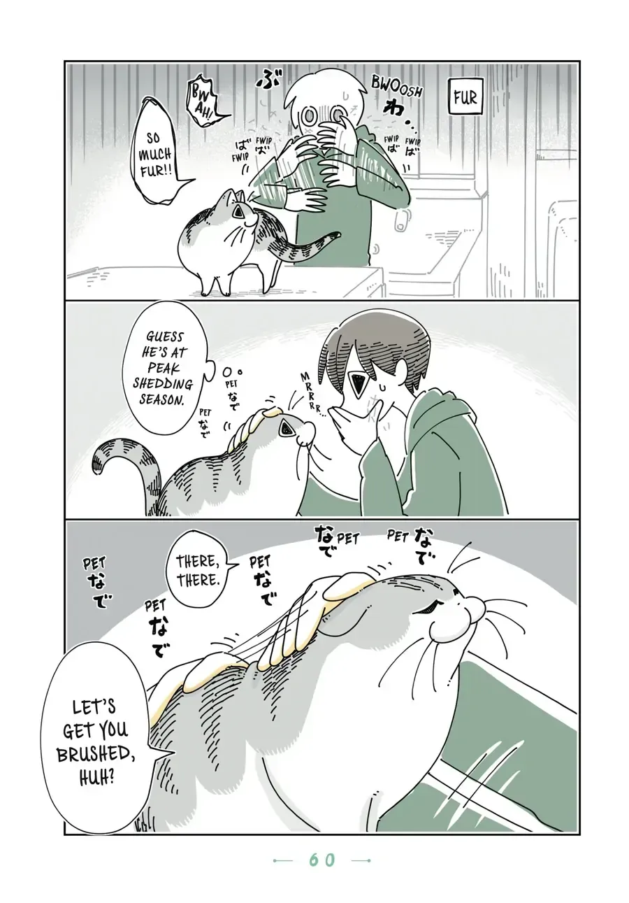 Nights With a Cat Chapter 22.2 page 2 - 