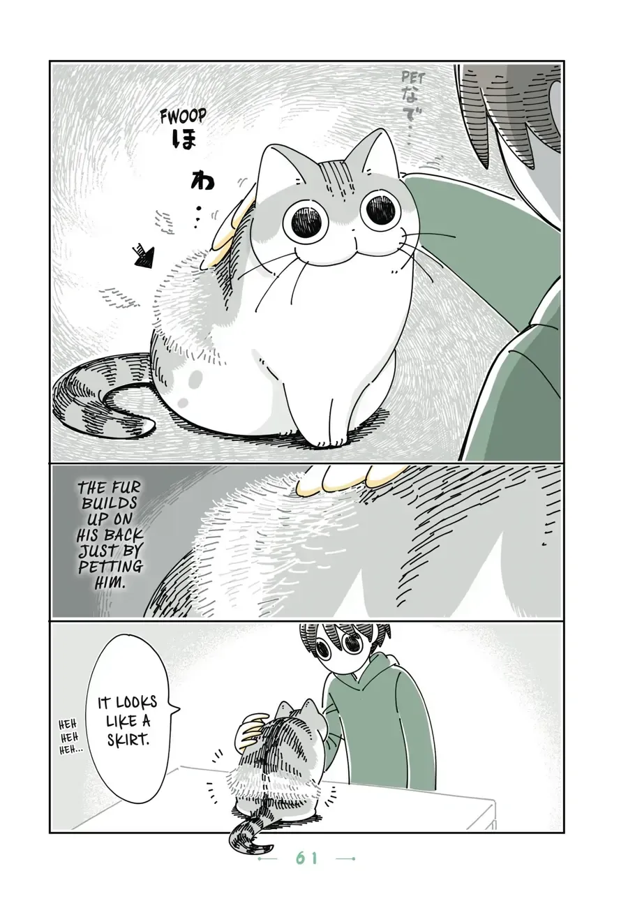 Nights With a Cat Chapter 22.2 page 3 - 