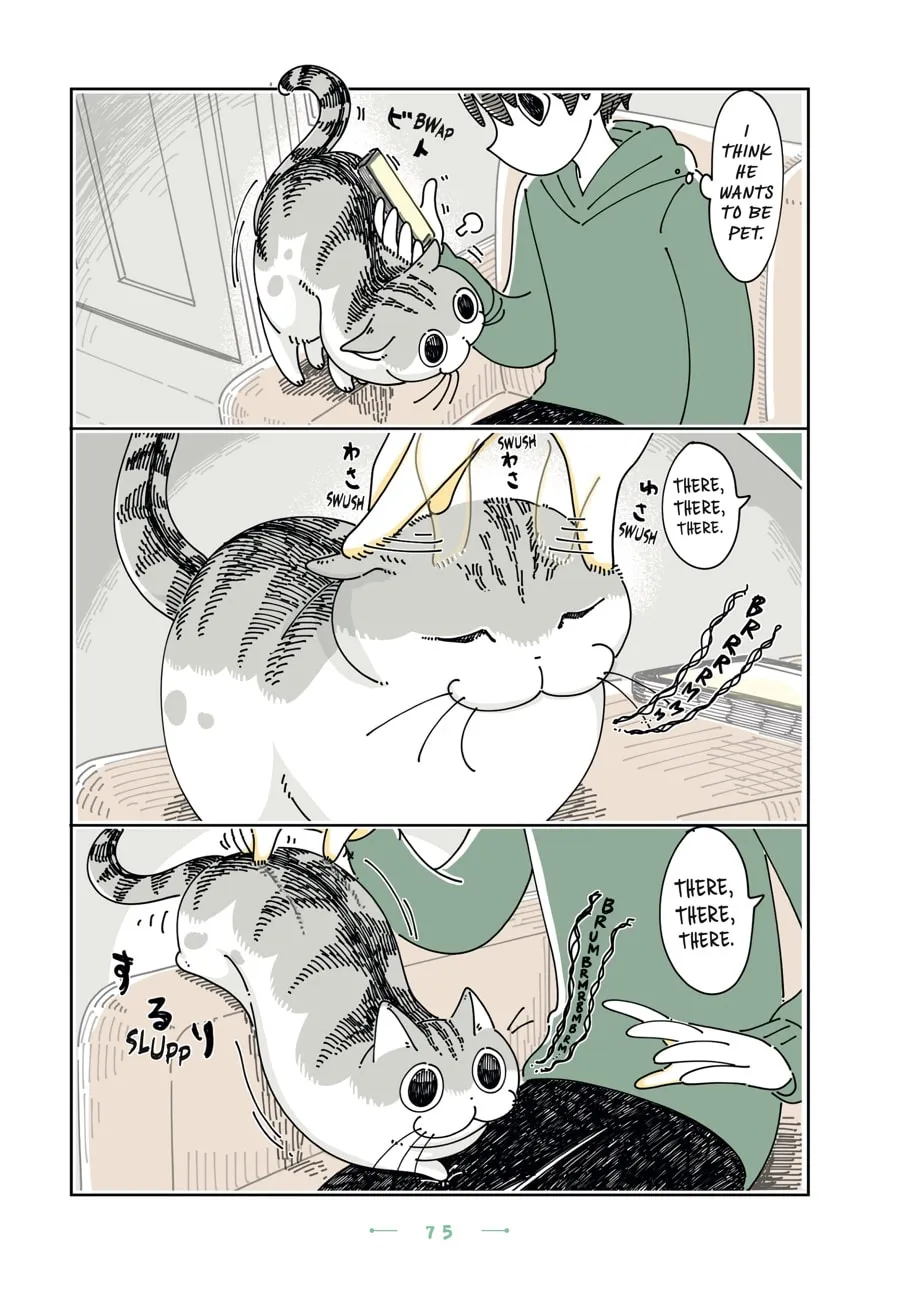 Nights With a Cat Chapter 22 page 11 - 