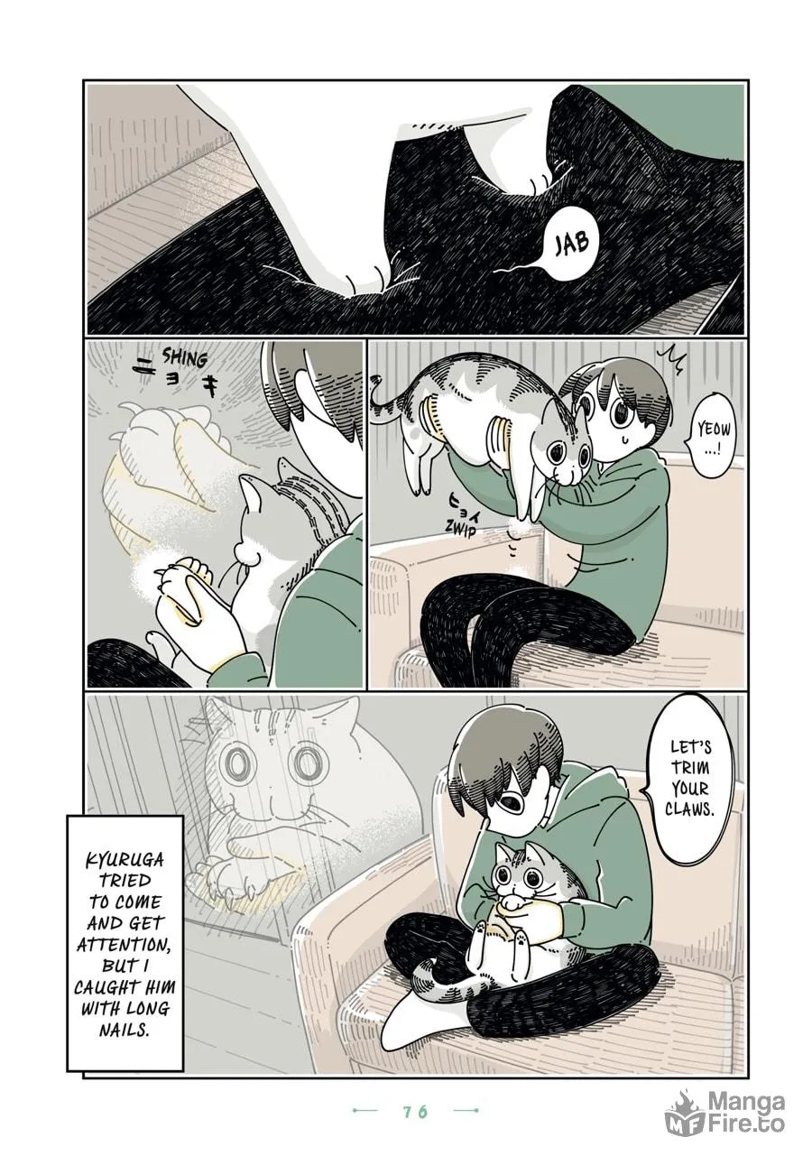 Nights With a Cat Chapter 22 page 12 - 