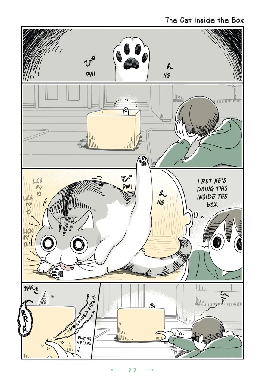 Nights With a Cat Chapter 22 page 13 - 