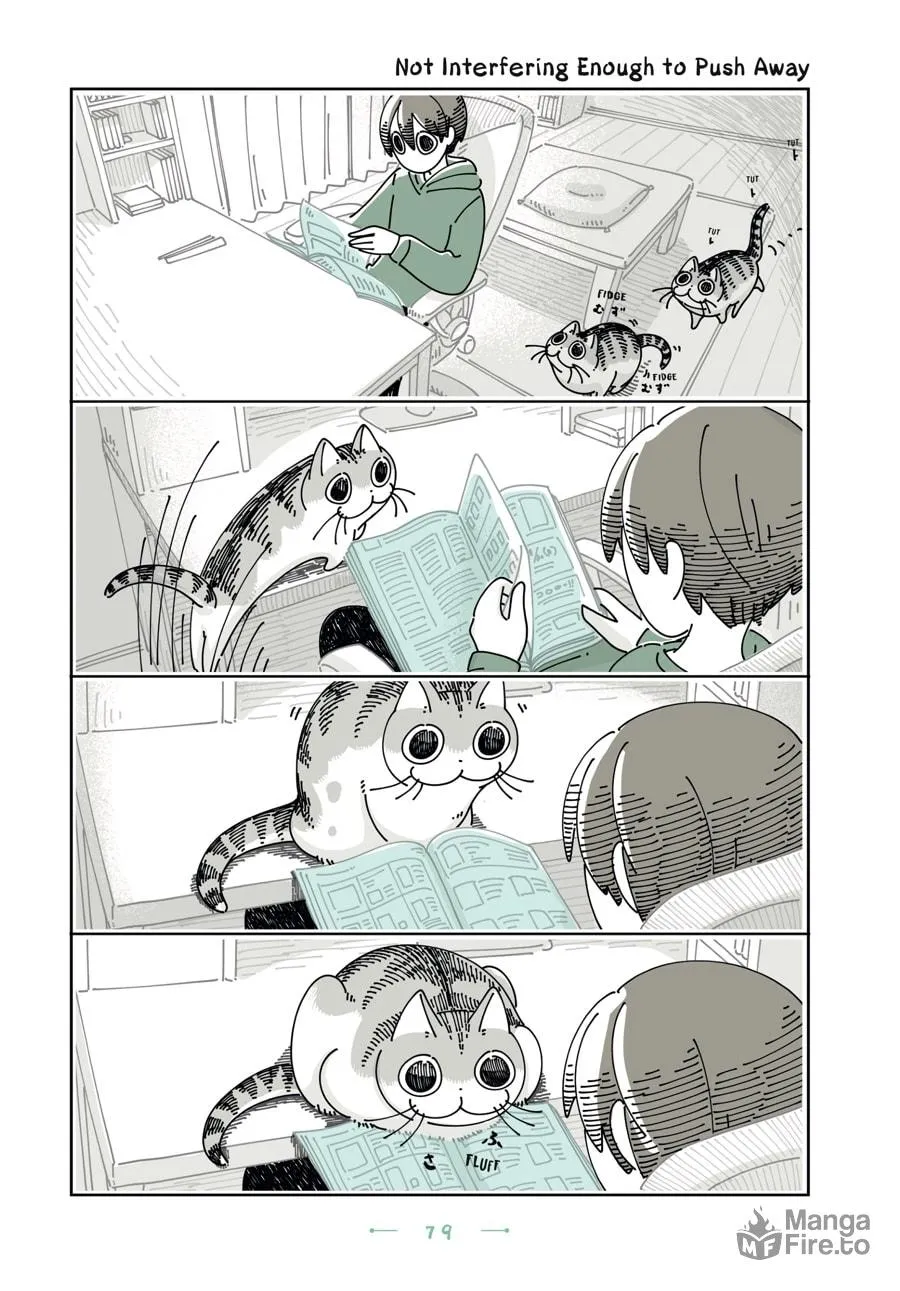 Nights With a Cat Chapter 22 page 15 - 