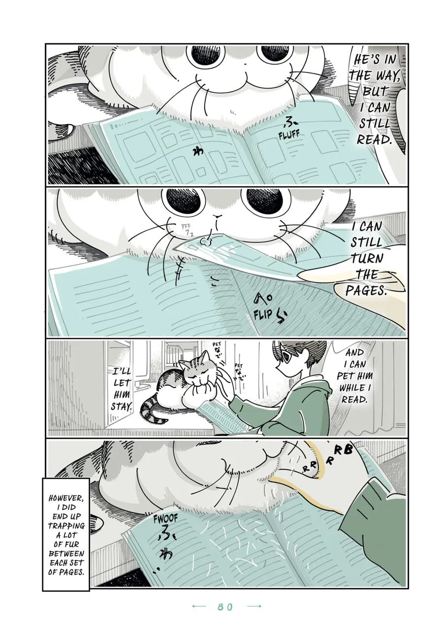 Nights With a Cat Chapter 22 page 16 - 