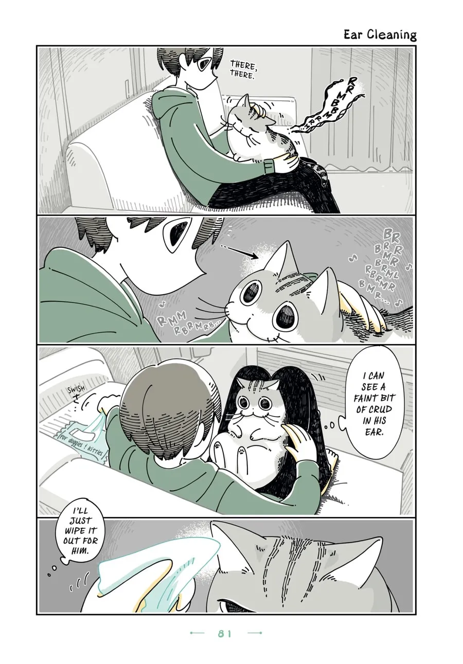 Nights With a Cat Chapter 22 page 17 - 