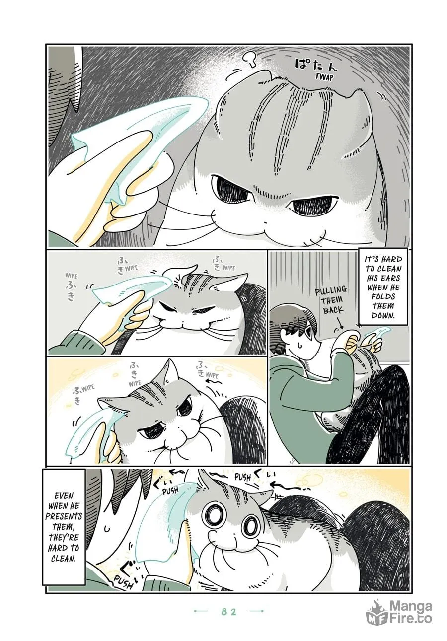 Nights With a Cat Chapter 22 page 18 - 