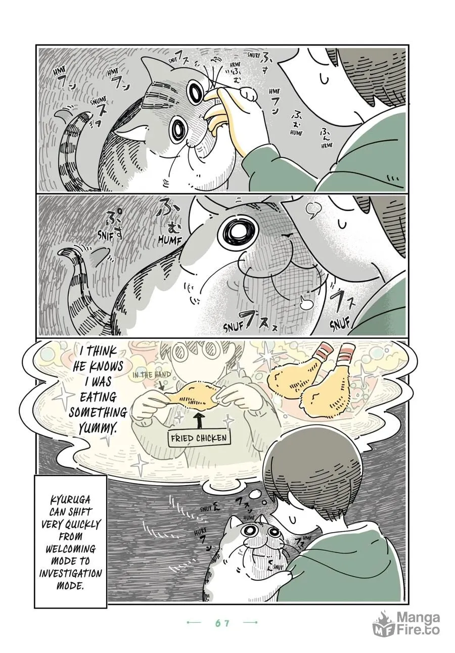 Nights With a Cat Chapter 22 page 3 - 