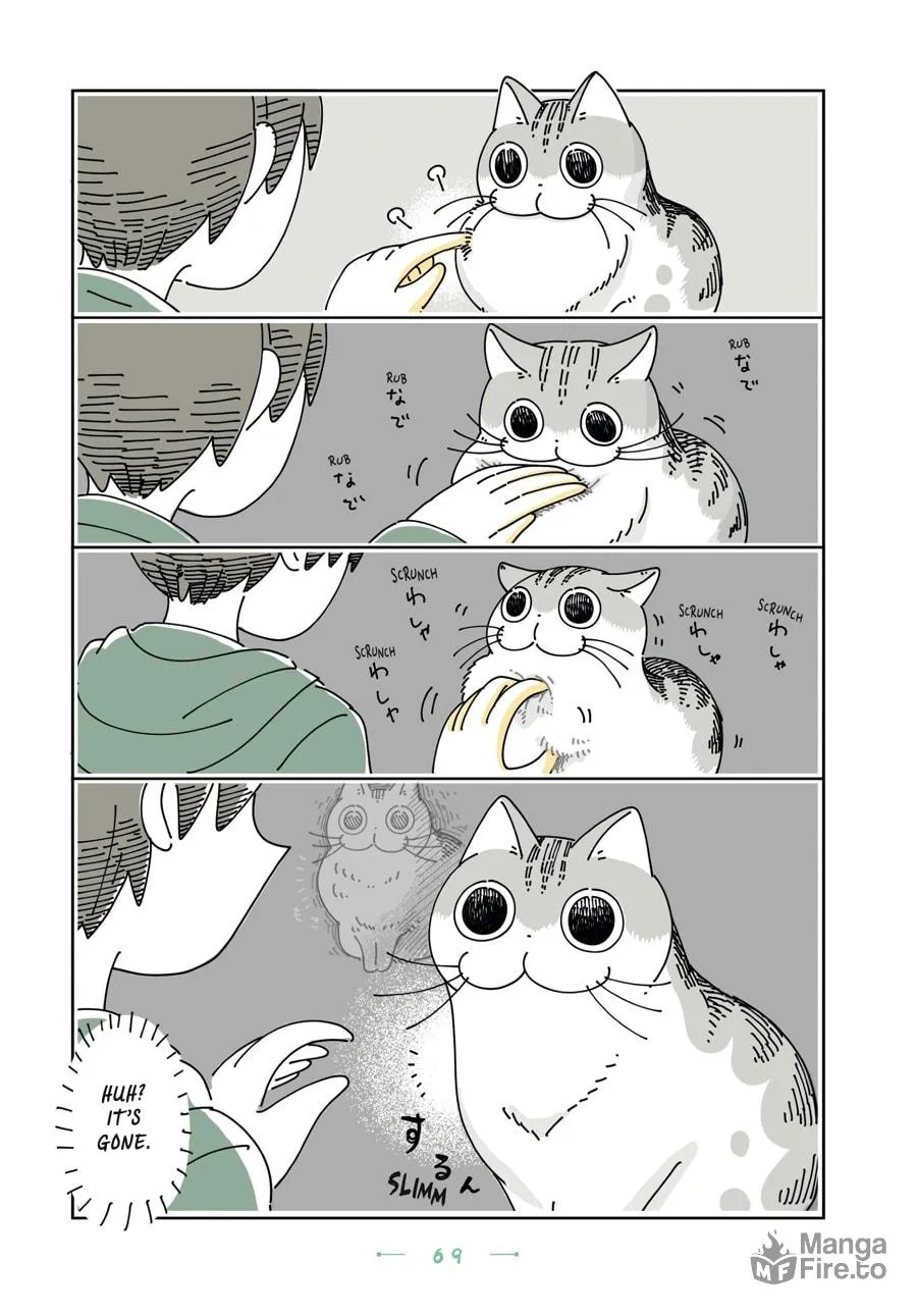Nights With a Cat Chapter 22 page 5 - 