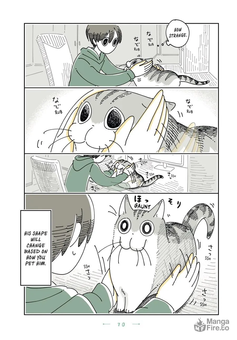 Nights With a Cat Chapter 22 page 6 - 
