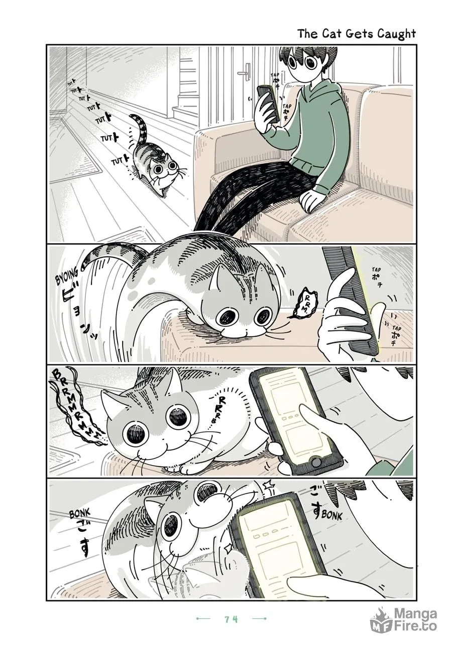 Nights With a Cat Chapter 22 page 10 - 