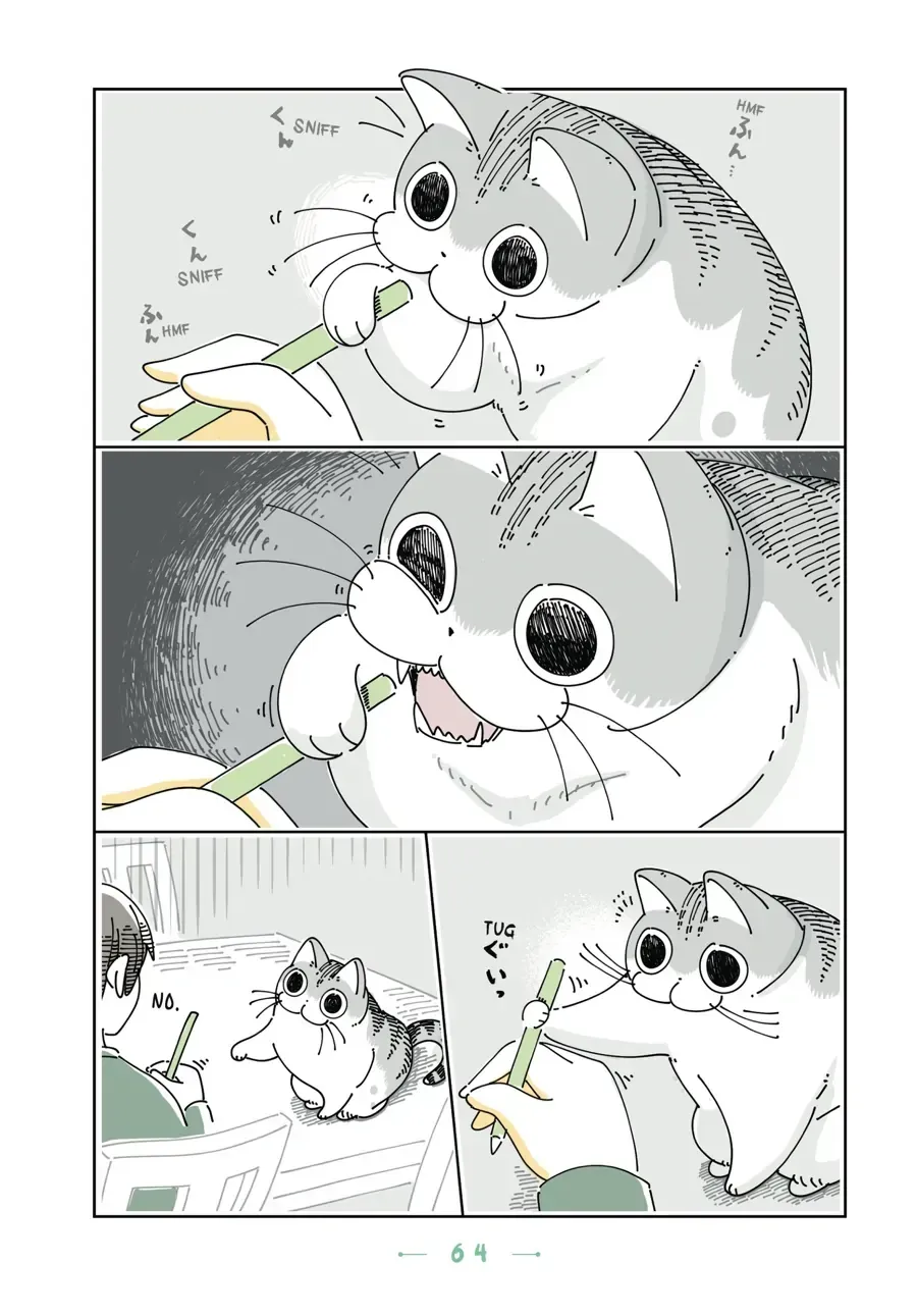 Nights With a Cat Chapter 23.2 page 2 - 
