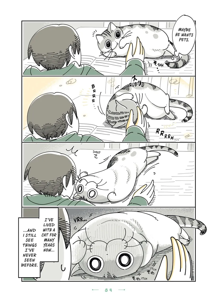 Nights With a Cat Chapter 23 page 2 - 