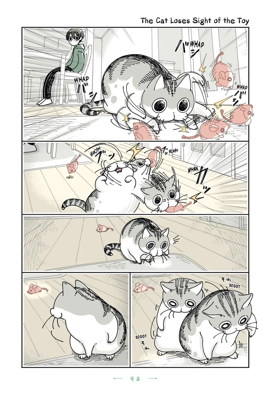 Nights With a Cat Chapter 23 page 11 - 