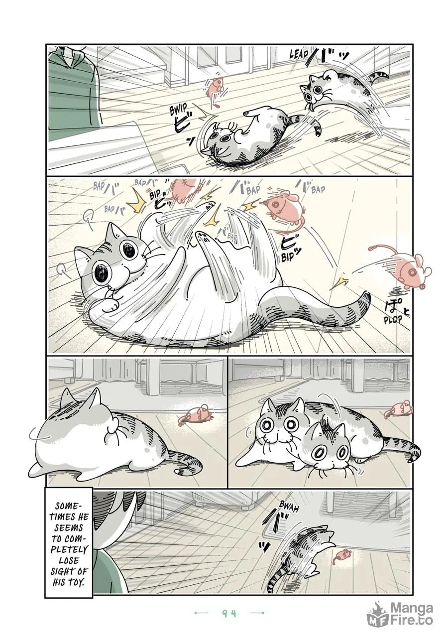 Nights With a Cat Chapter 23 page 12 - 