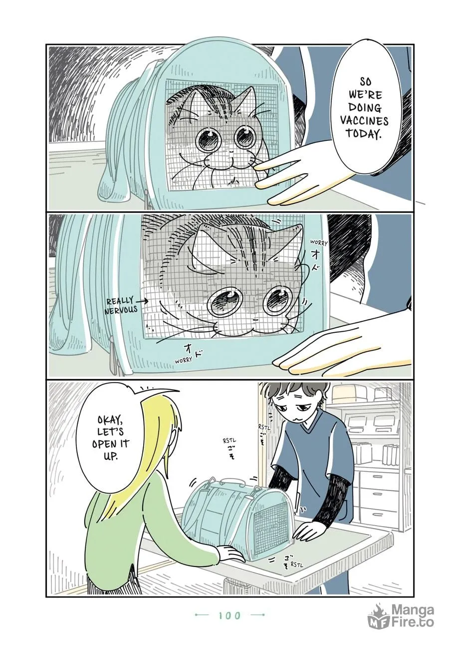 Nights With a Cat Chapter 23 page 18 - 