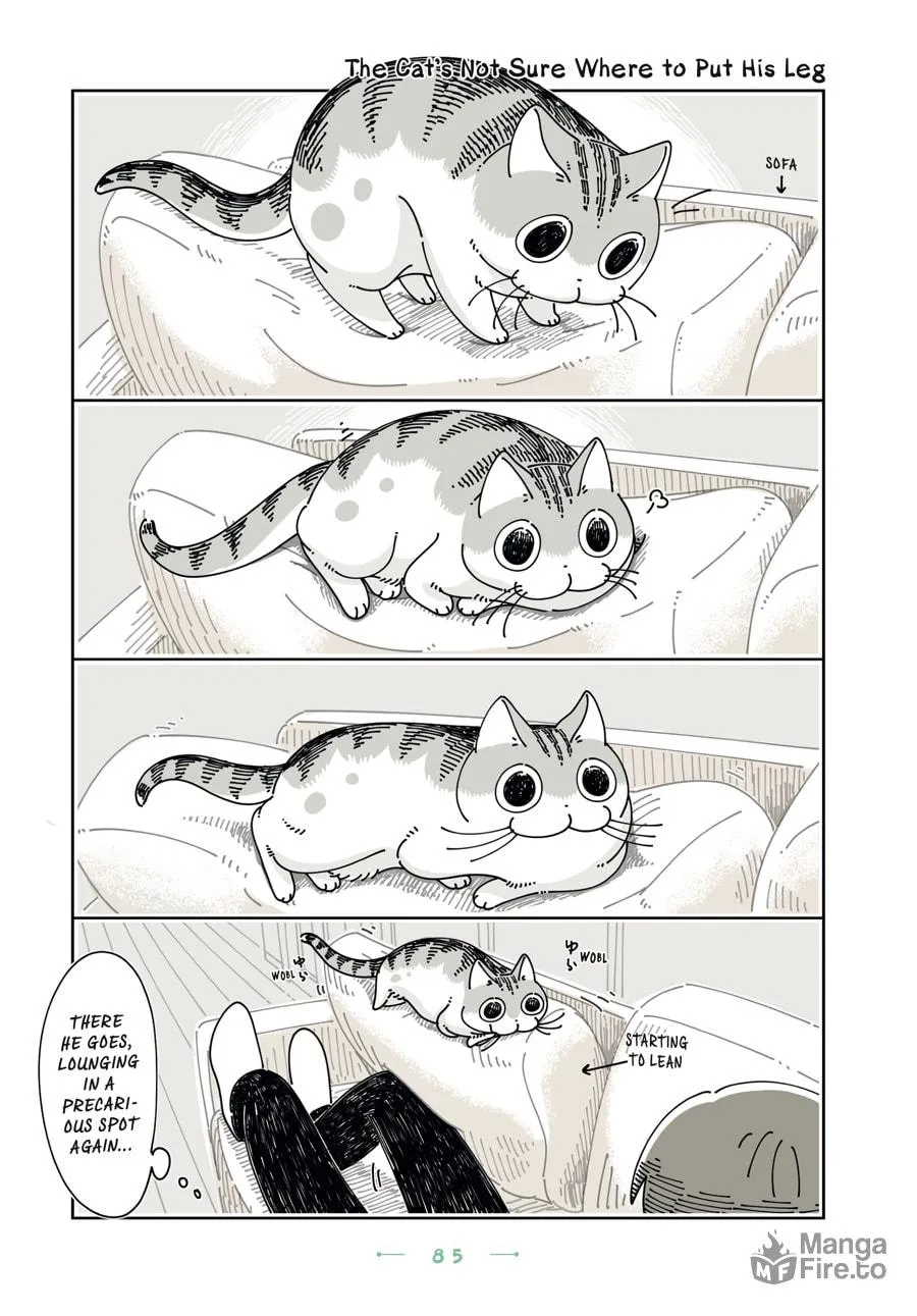 Nights With a Cat Chapter 23 page 3 - 