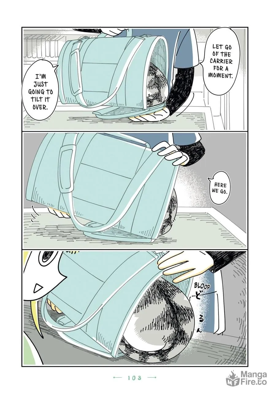 Nights With a Cat Chapter 23 page 21 - 
