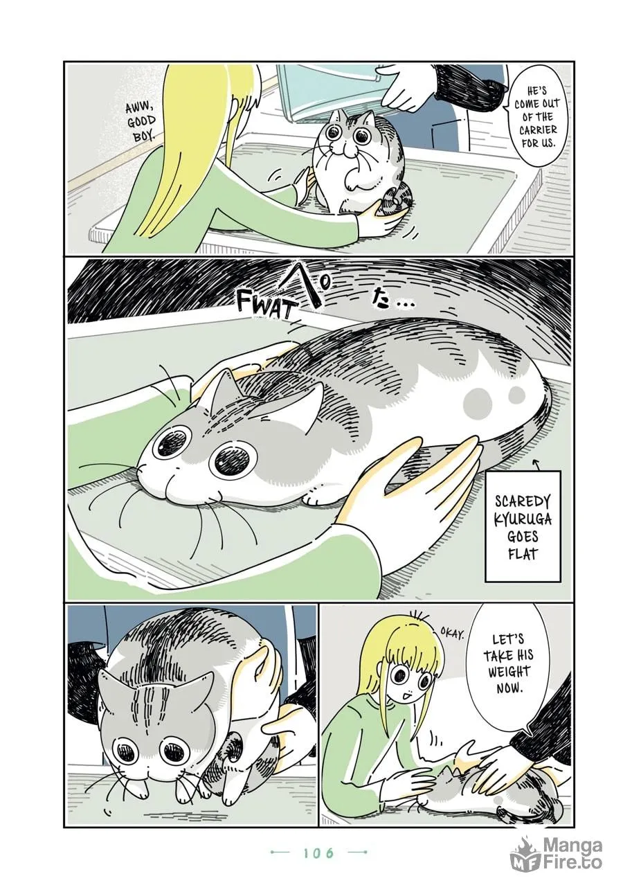 Nights With a Cat Chapter 23 page 24 - 