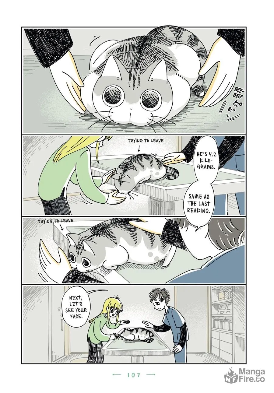 Nights With a Cat Chapter 23 page 25 - 