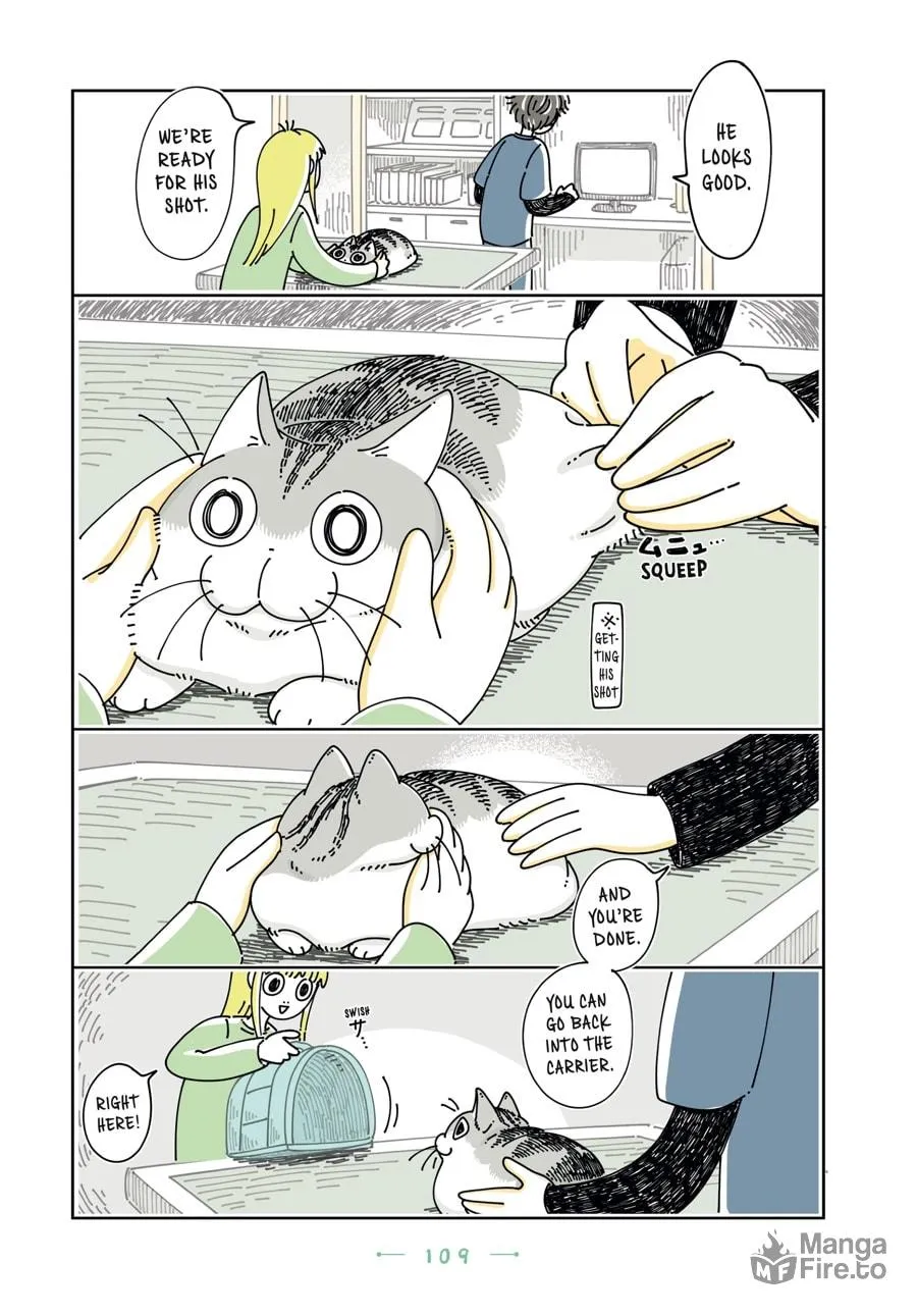 Nights With a Cat Chapter 23 page 27 - 