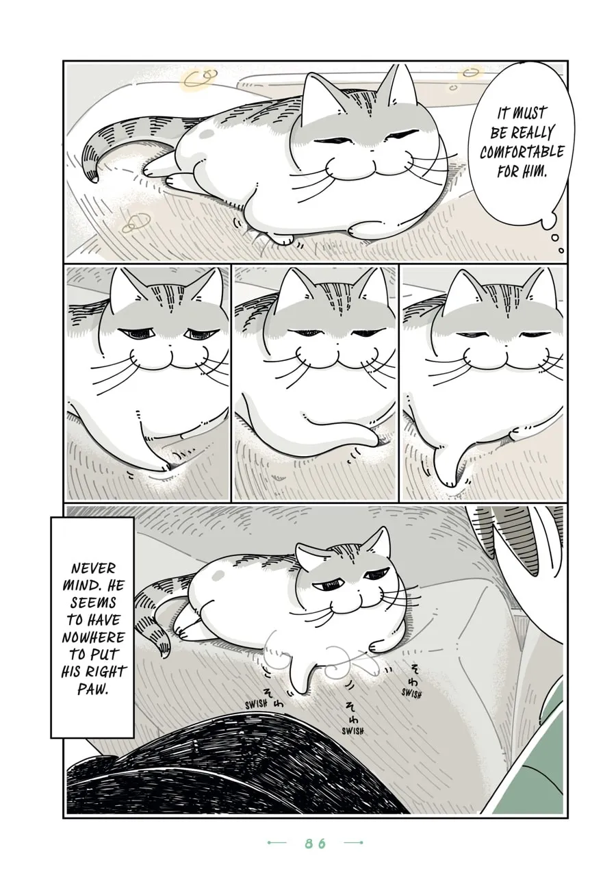 Nights With a Cat Chapter 23 page 4 - 