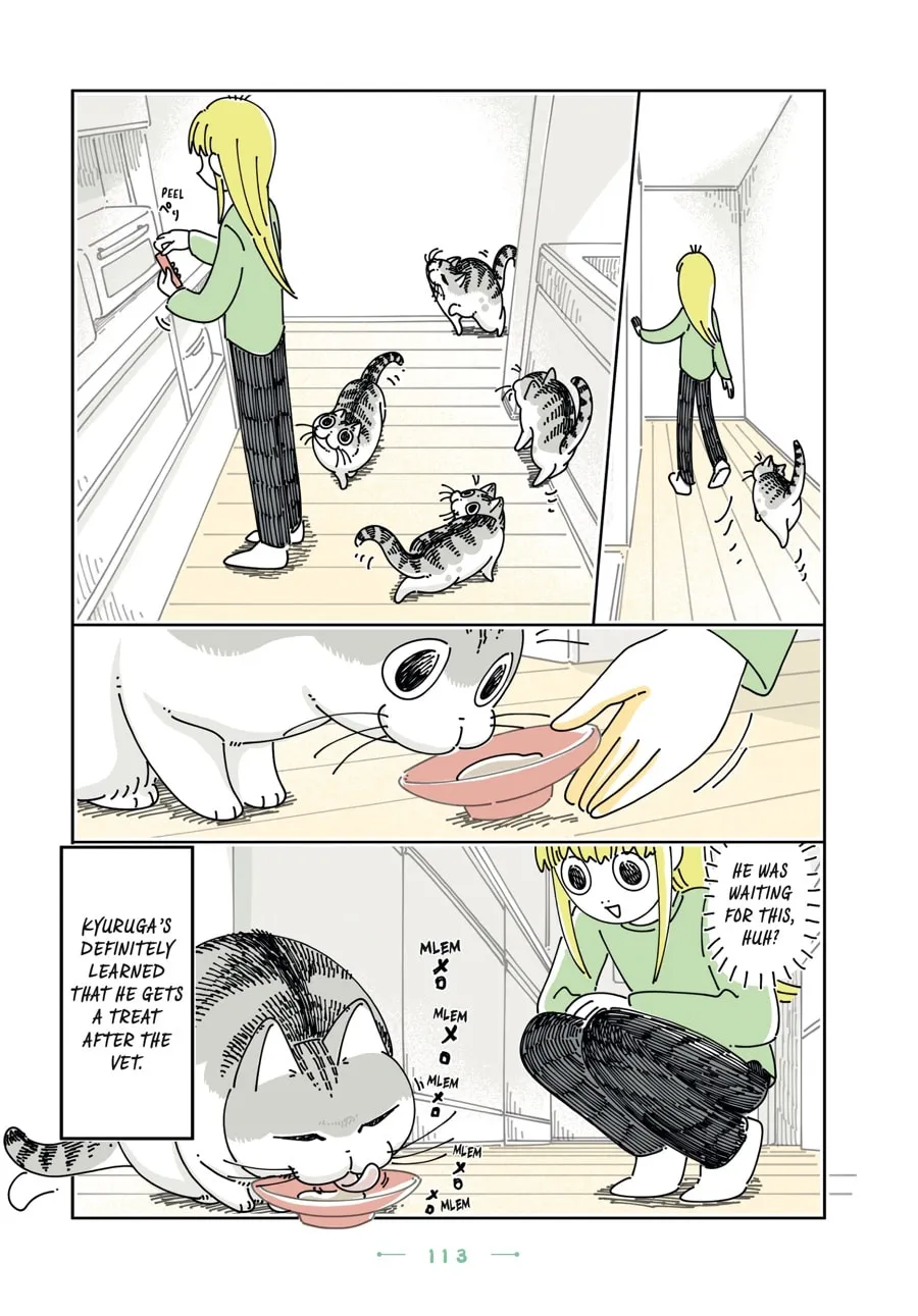 Nights With a Cat Chapter 23 page 31 - 