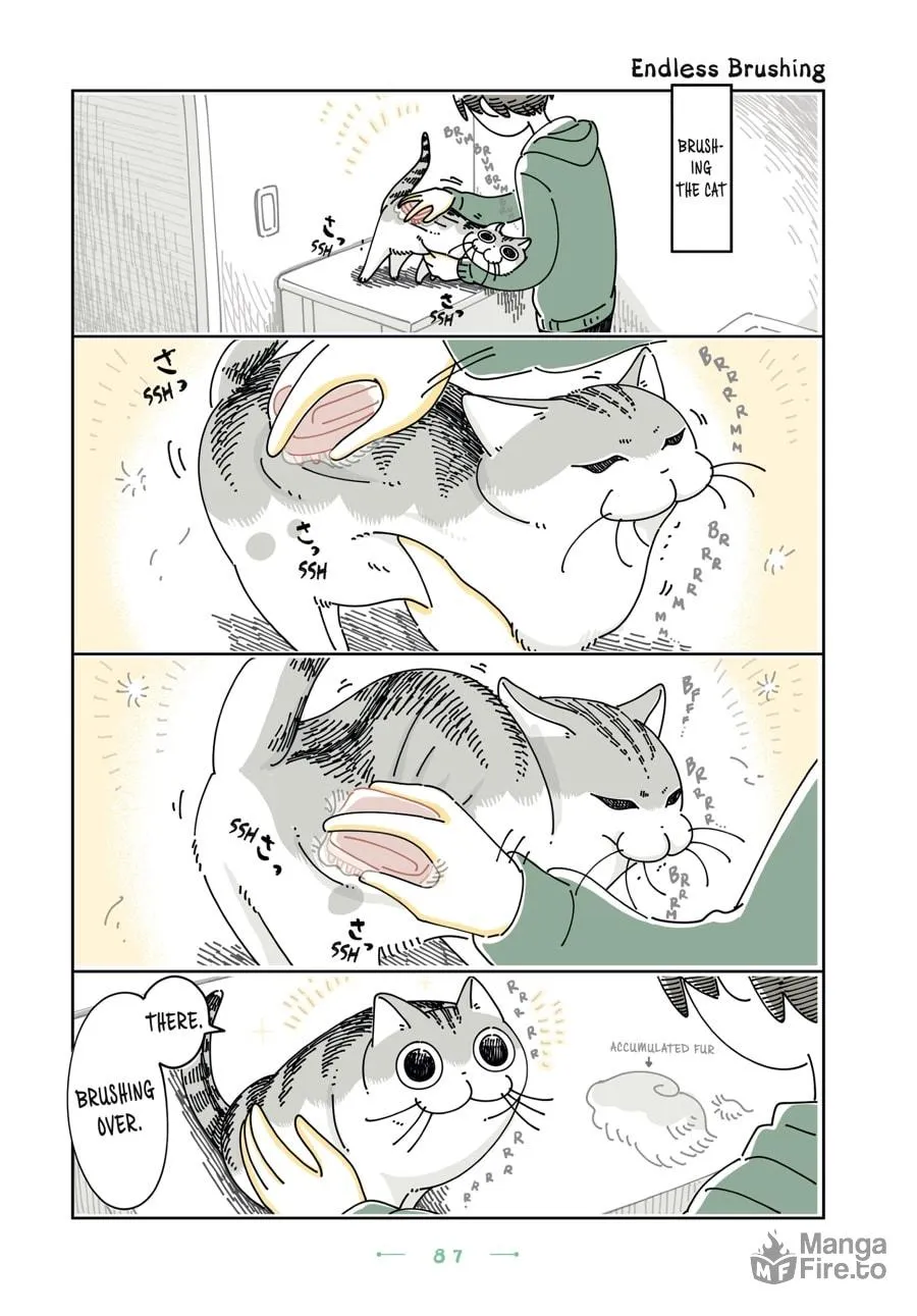 Nights With a Cat Chapter 23 page 5 - 