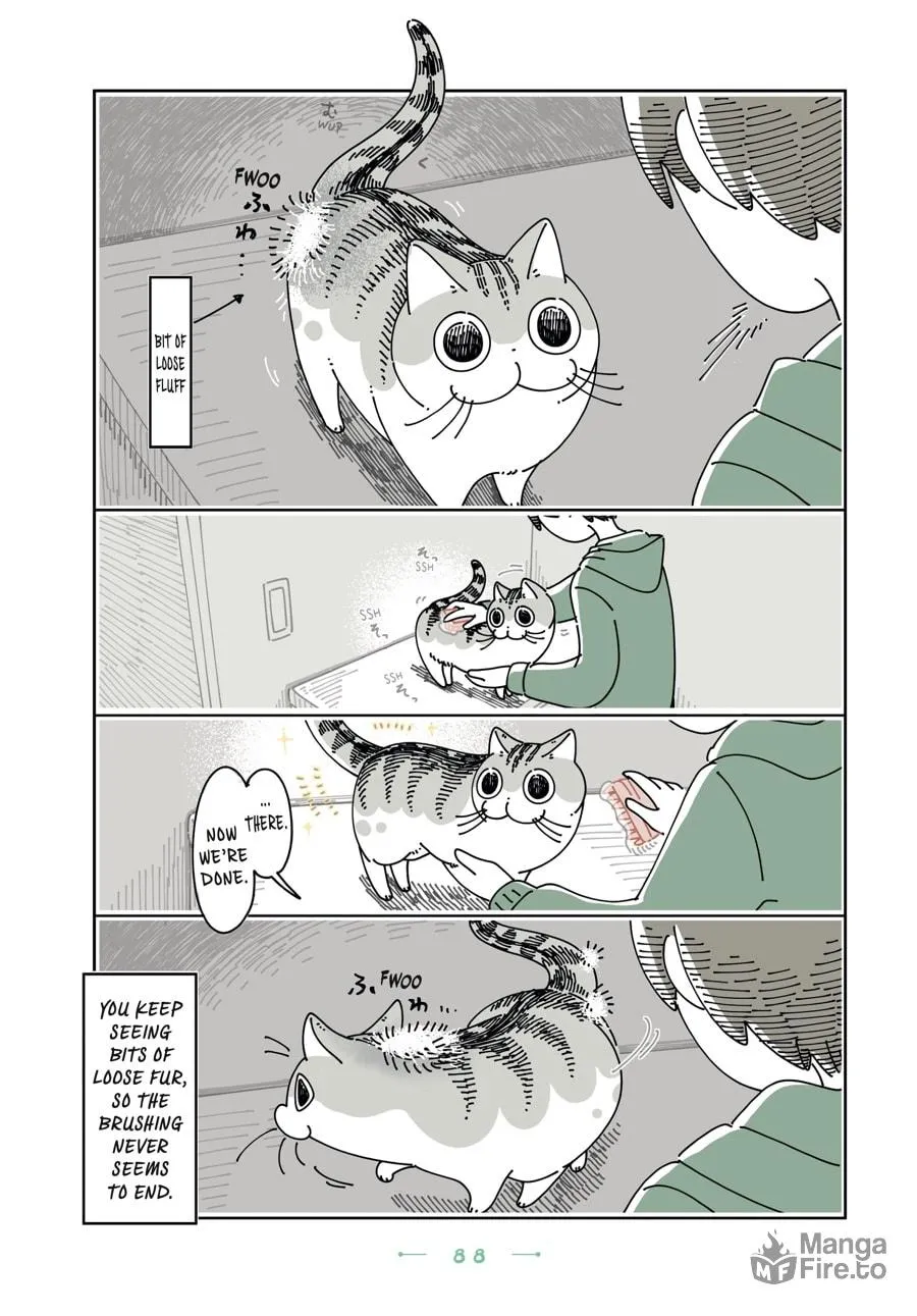 Nights With a Cat Chapter 23 page 6 - 