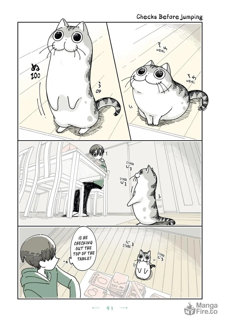 Nights With a Cat Chapter 23 page 9 - 
