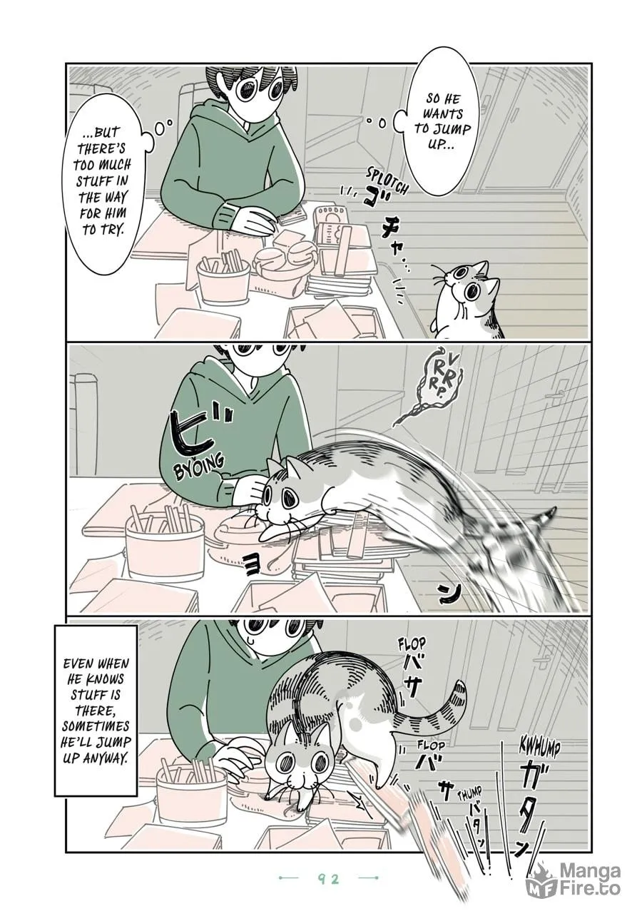 Nights With a Cat Chapter 23 page 10 - 