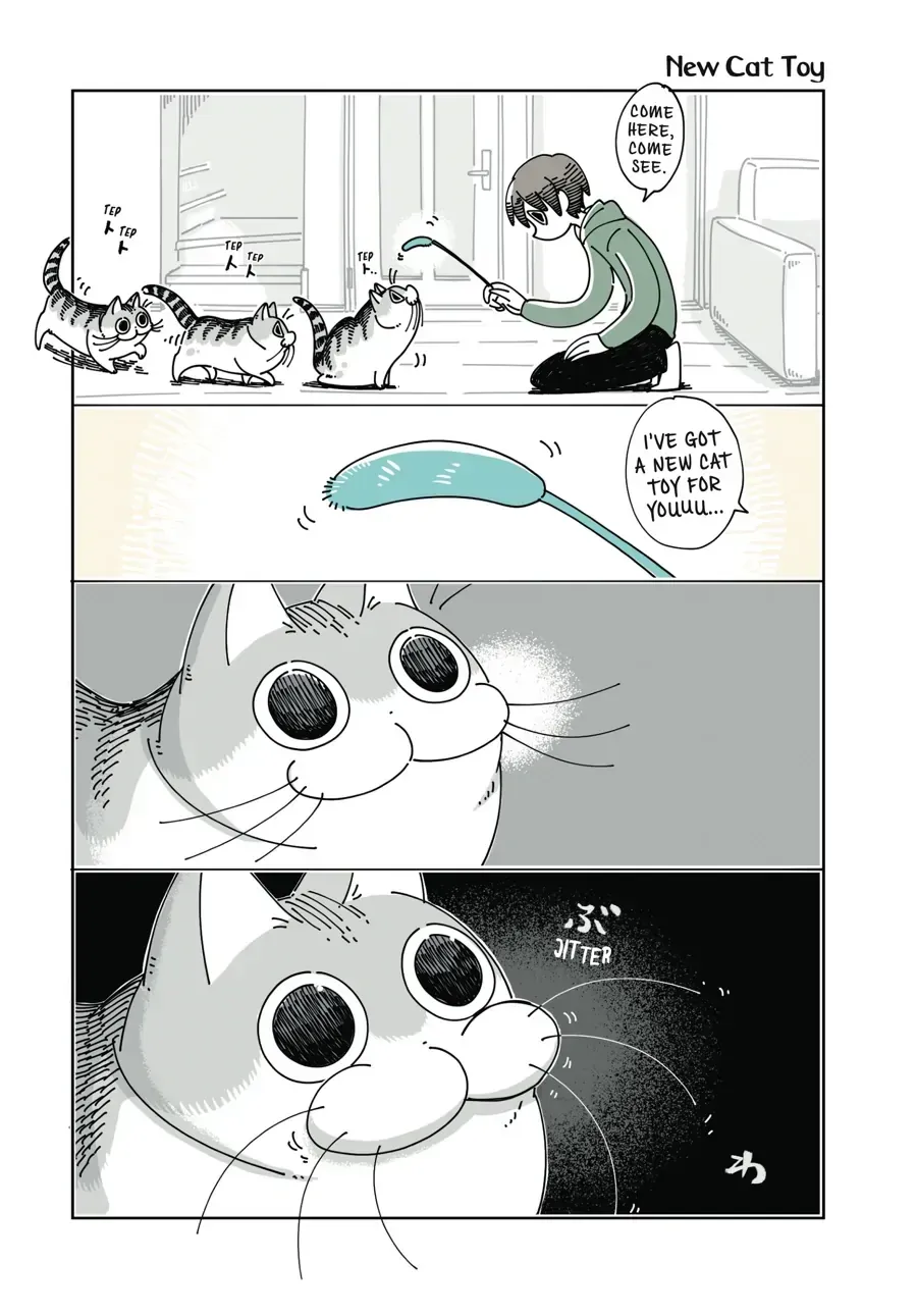 Nights With a Cat Chapter 24.1 page 1 - 