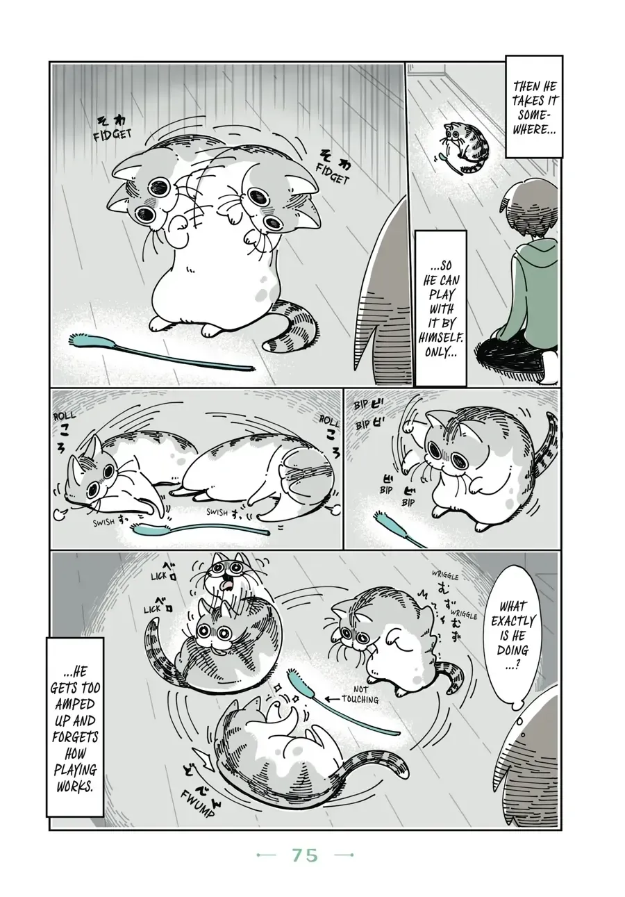 Nights With a Cat Chapter 24.1 page 3 - 