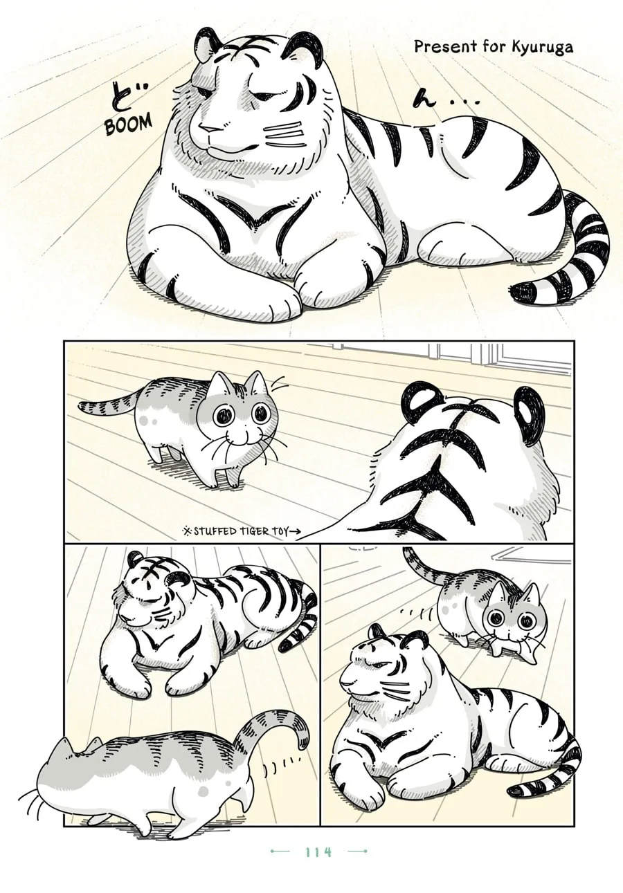 Nights With a Cat Chapter 24 page 1 - 