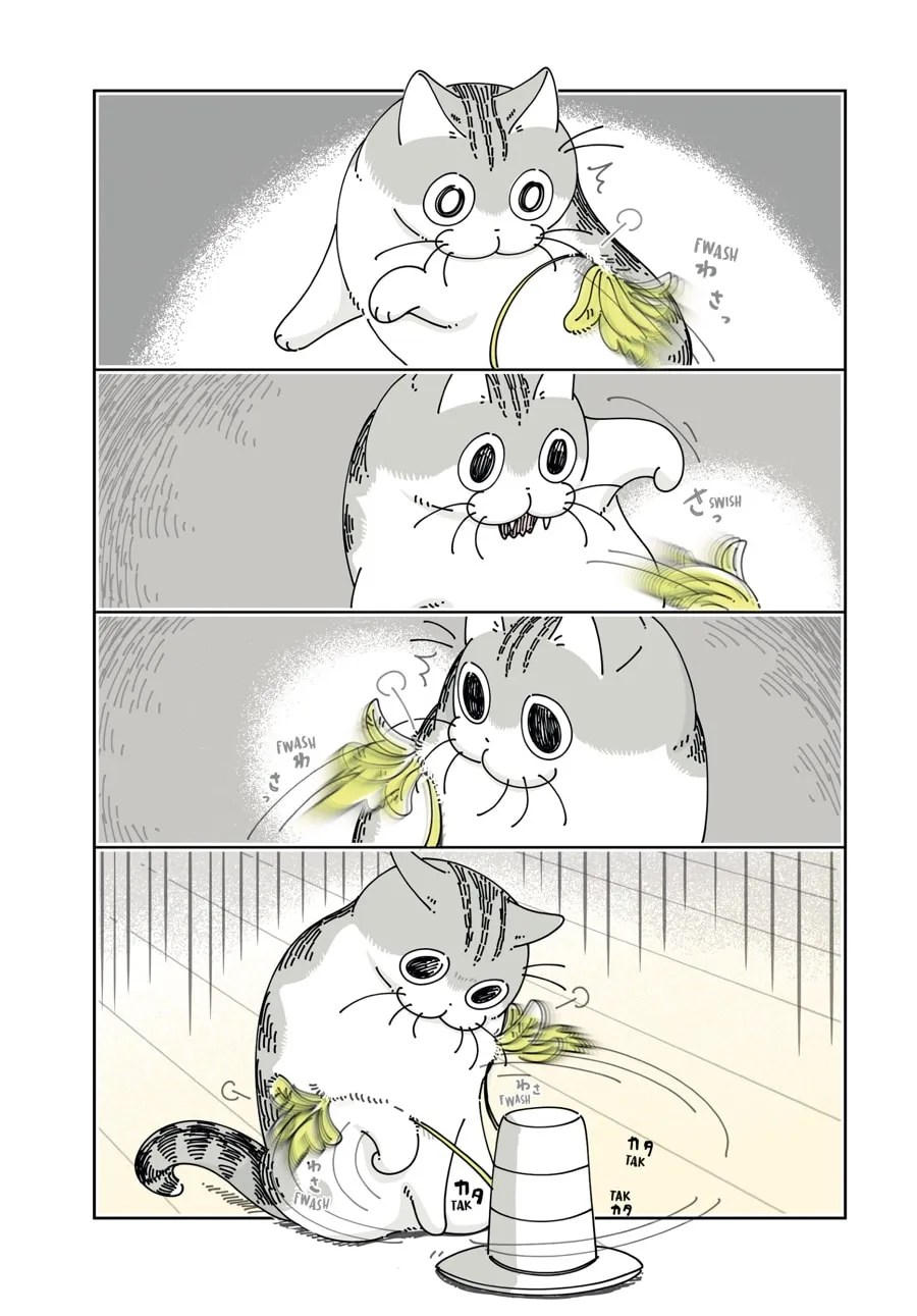 Nights With a Cat Chapter 24 page 11 - 