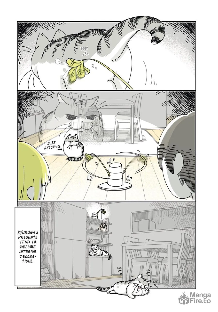 Nights With a Cat Chapter 24 page 12 - 