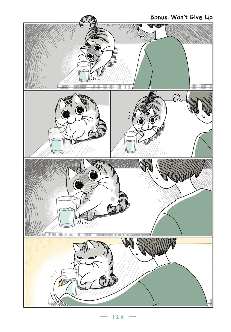 Nights With a Cat Chapter 24 page 13 - 