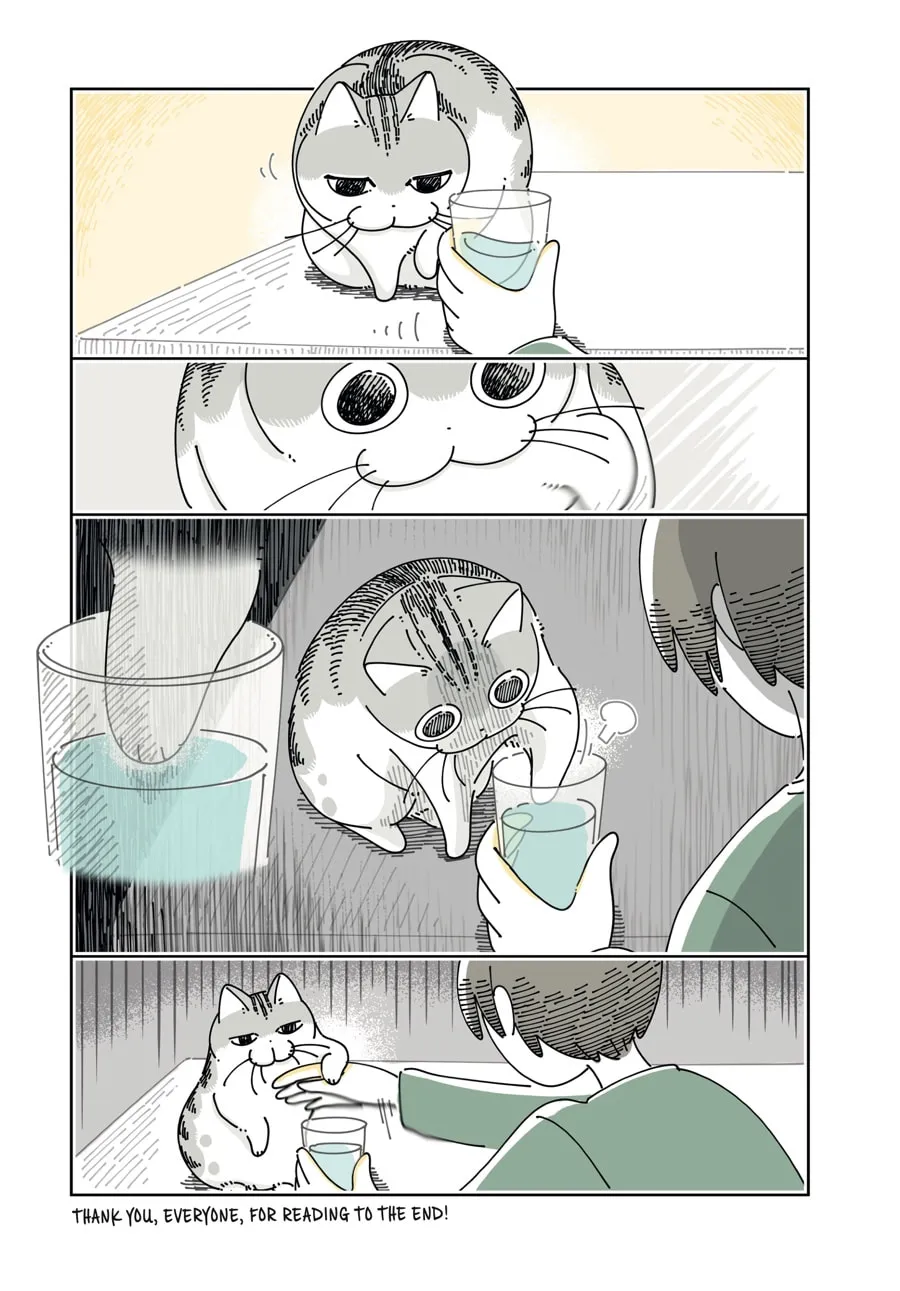 Nights With a Cat Chapter 24 page 14 - 