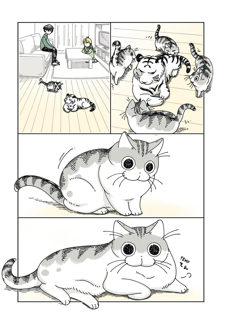 Nights With a Cat Chapter 24 page 4 - 