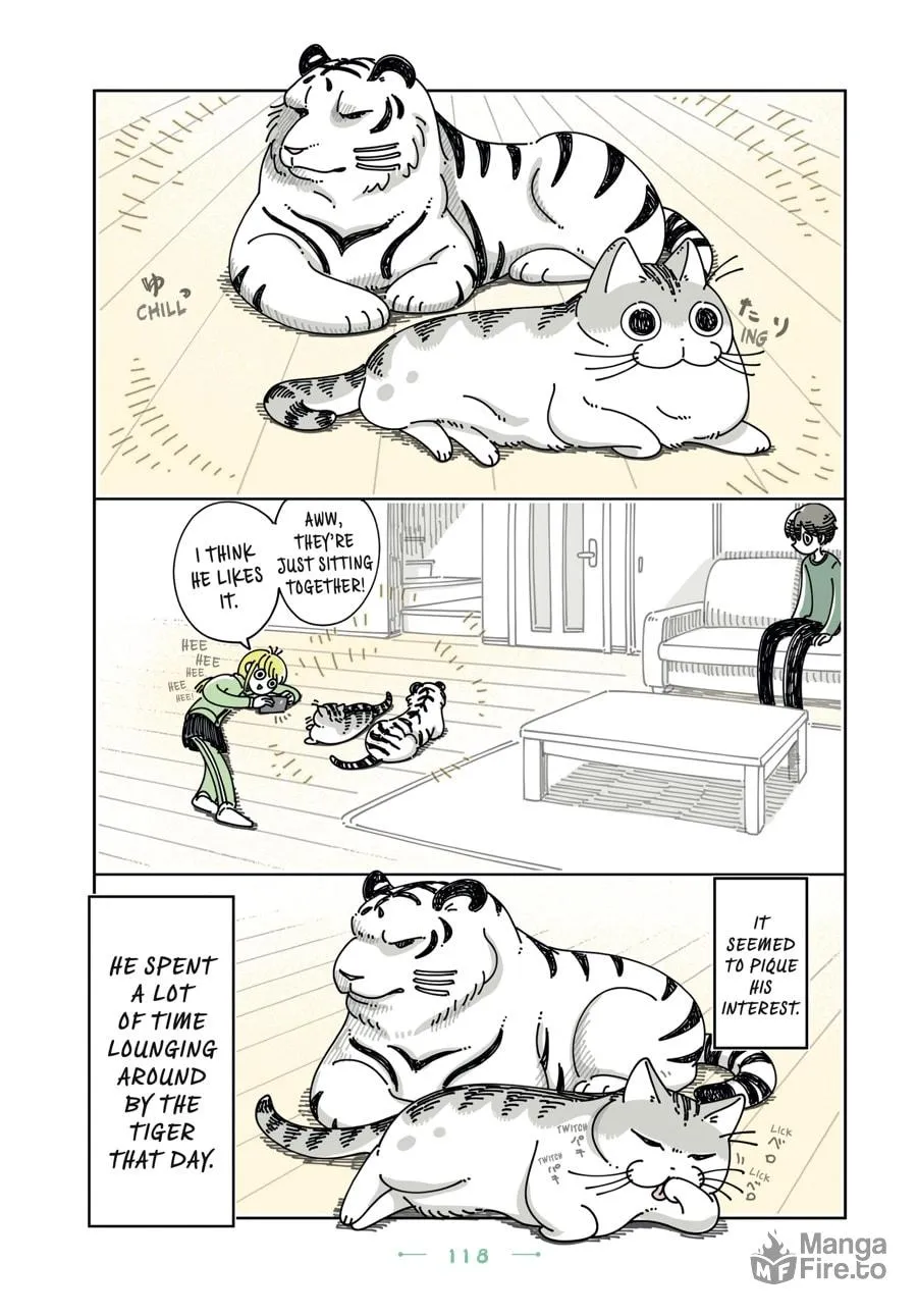 Nights With a Cat Chapter 24 page 5 - 