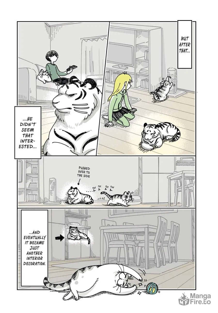 Nights With a Cat Chapter 24 page 6 - 