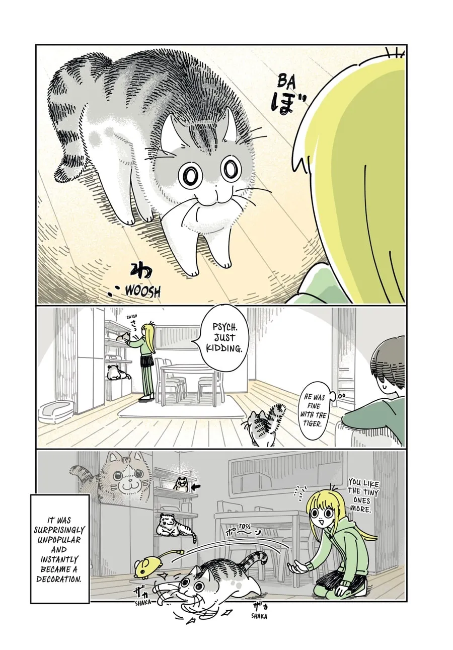 Nights With a Cat Chapter 24 page 8 - 