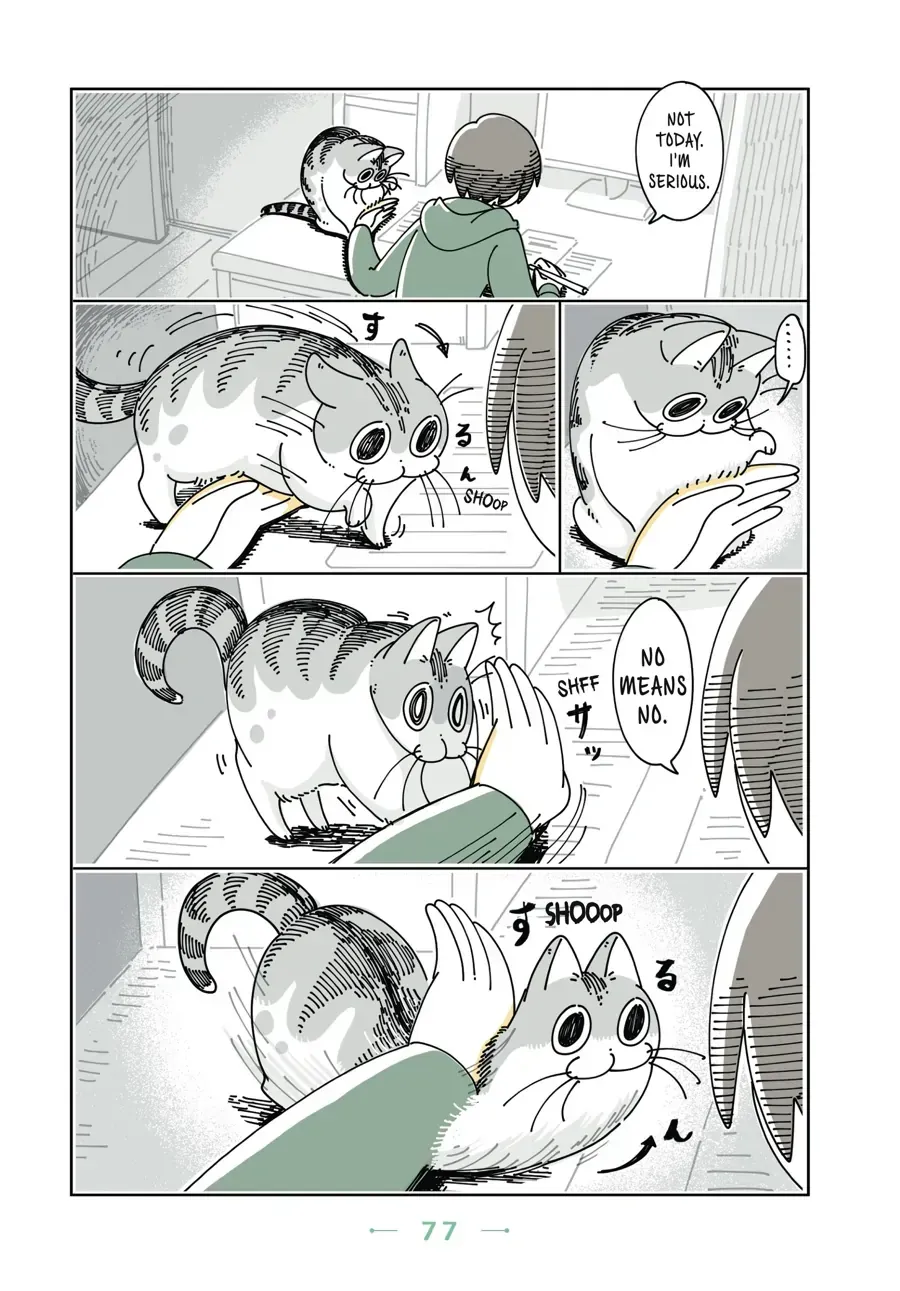 Nights With a Cat Chapter 25.1 page 2 - 