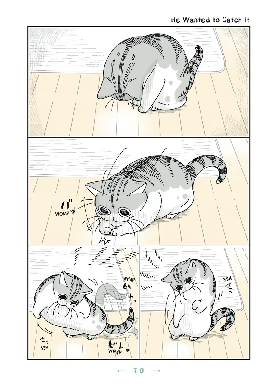 Nights With a Cat Chapter 25.2 page 1 - 