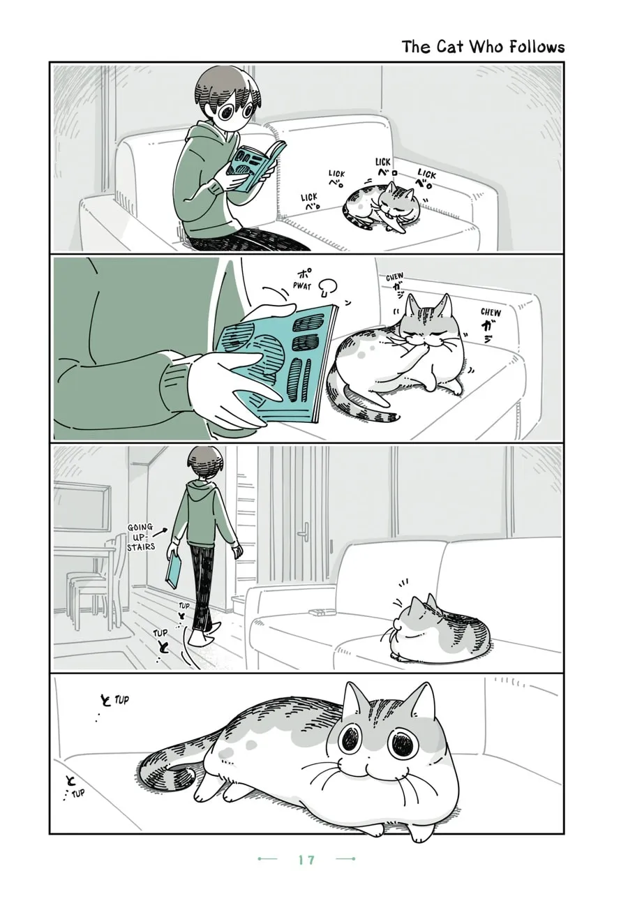 Nights With a Cat Chapter 25 page 13 - 
