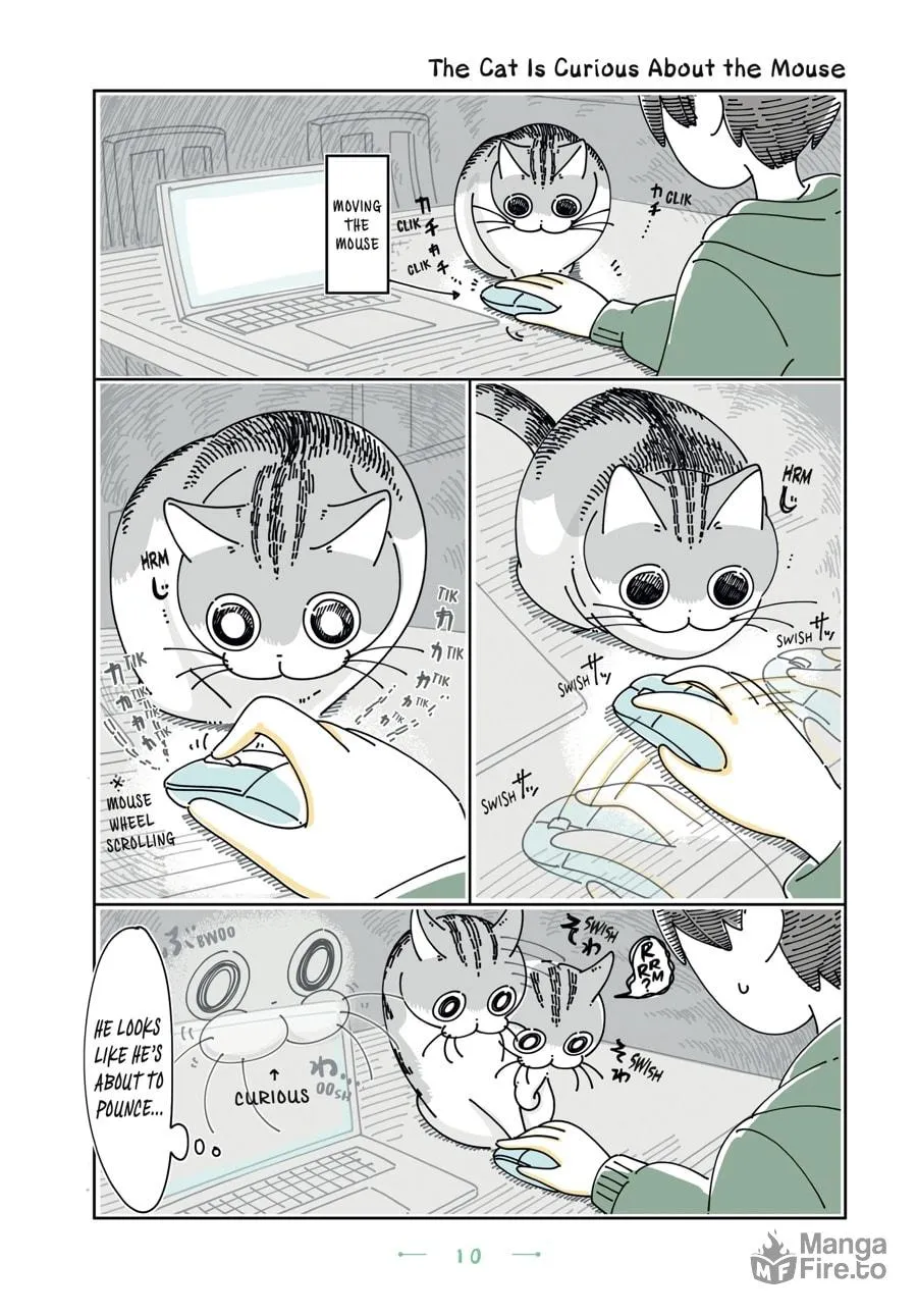 Nights With a Cat Chapter 25 page 6 - 