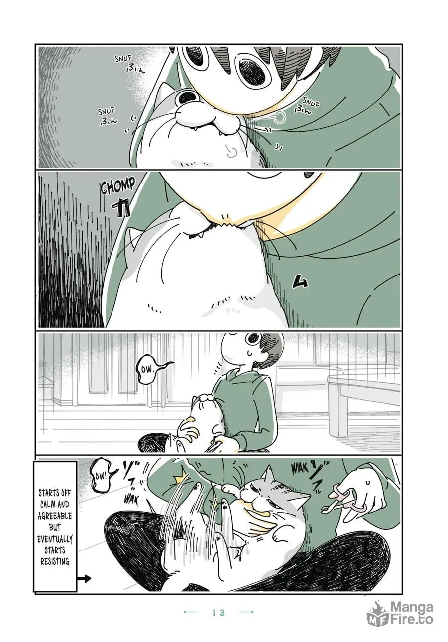 Nights With a Cat Chapter 25 page 9 - 