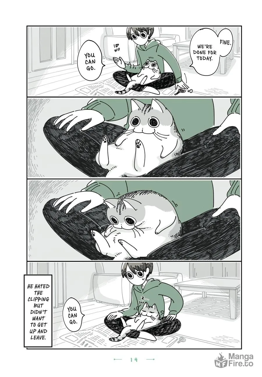Nights With a Cat Chapter 25 page 10 - 