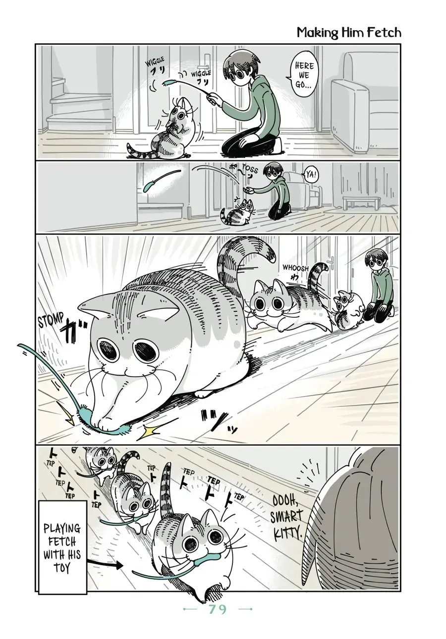 Nights With a Cat Chapter 26.1 page 1 - 