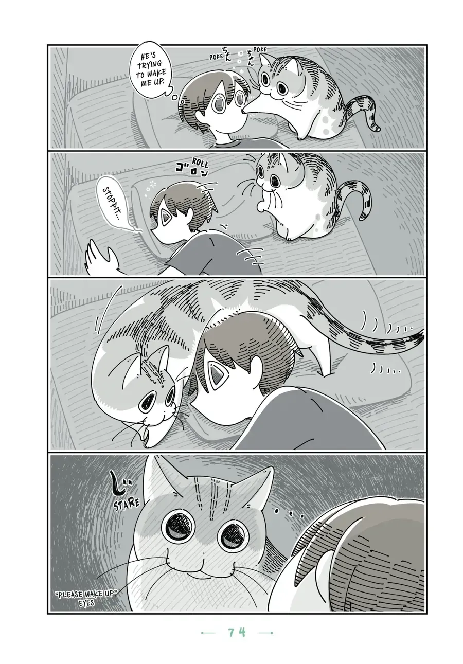 Nights With a Cat Chapter 26.2 page 2 - 