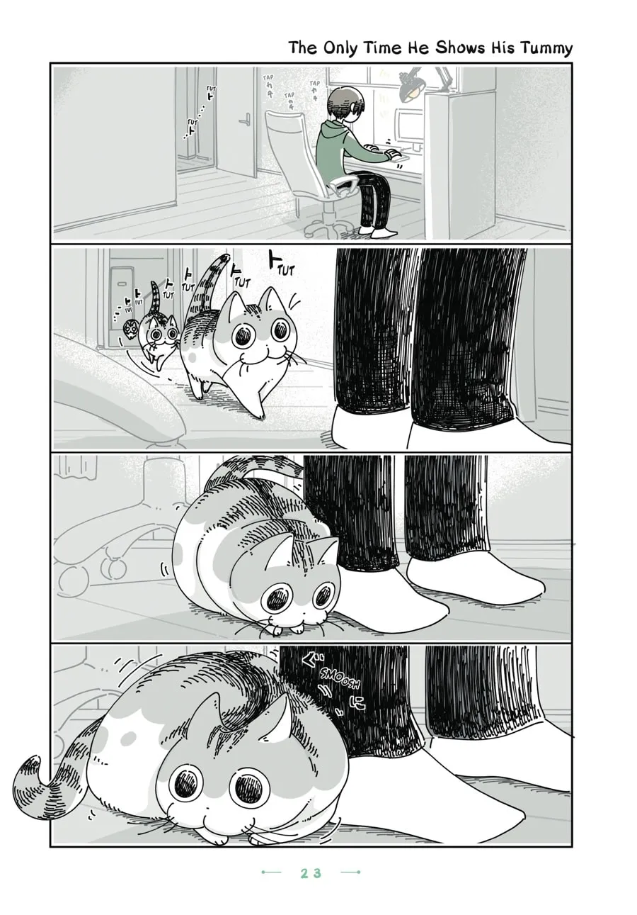 Nights With a Cat Chapter 26 page 1 - 