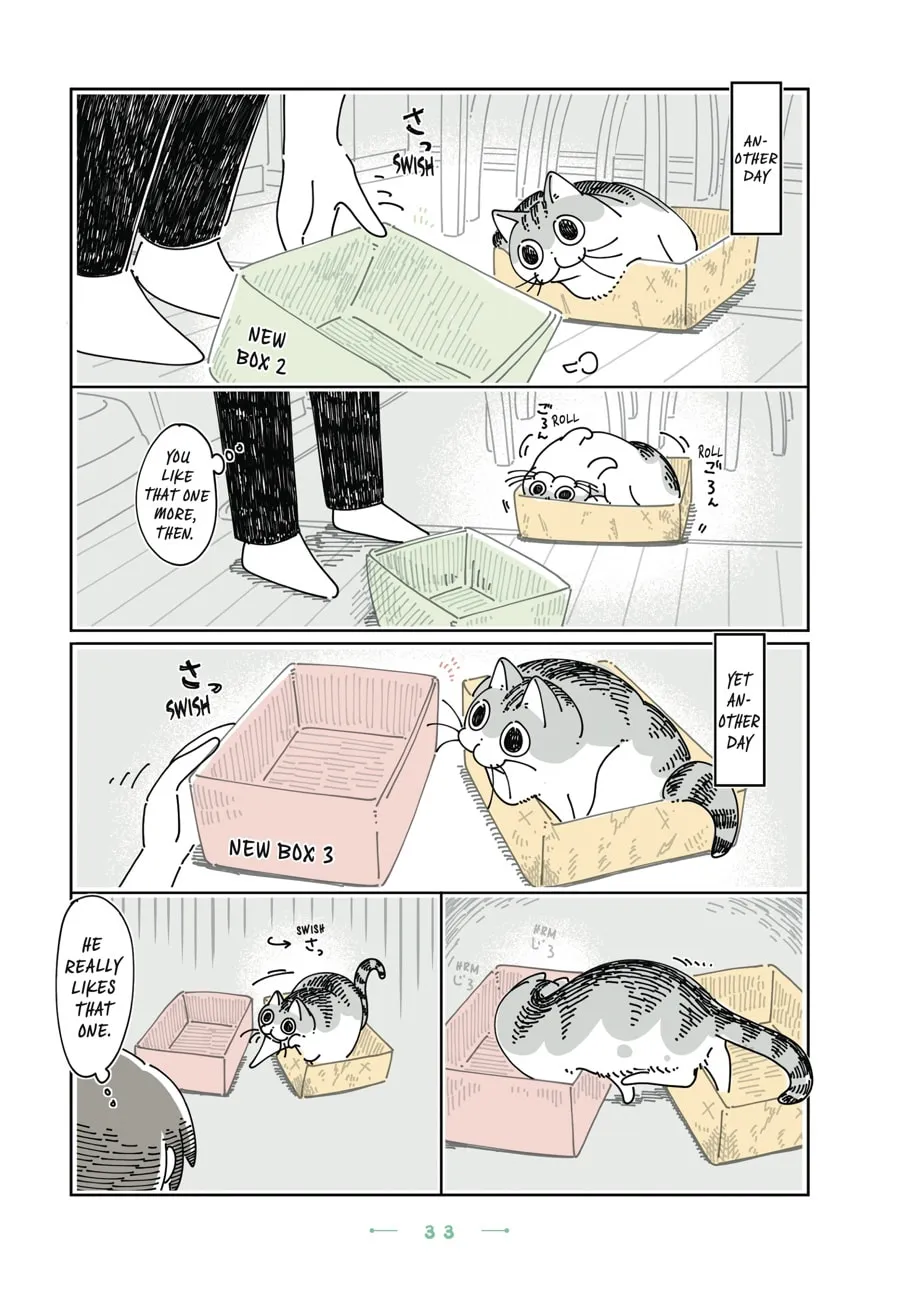 Nights With a Cat Chapter 26 page 11 - 